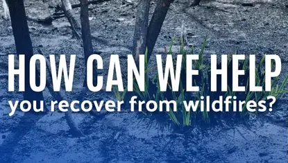 grass grows from charred ground; words atop image read HOW CAN WE HELP you recover from wildfires?